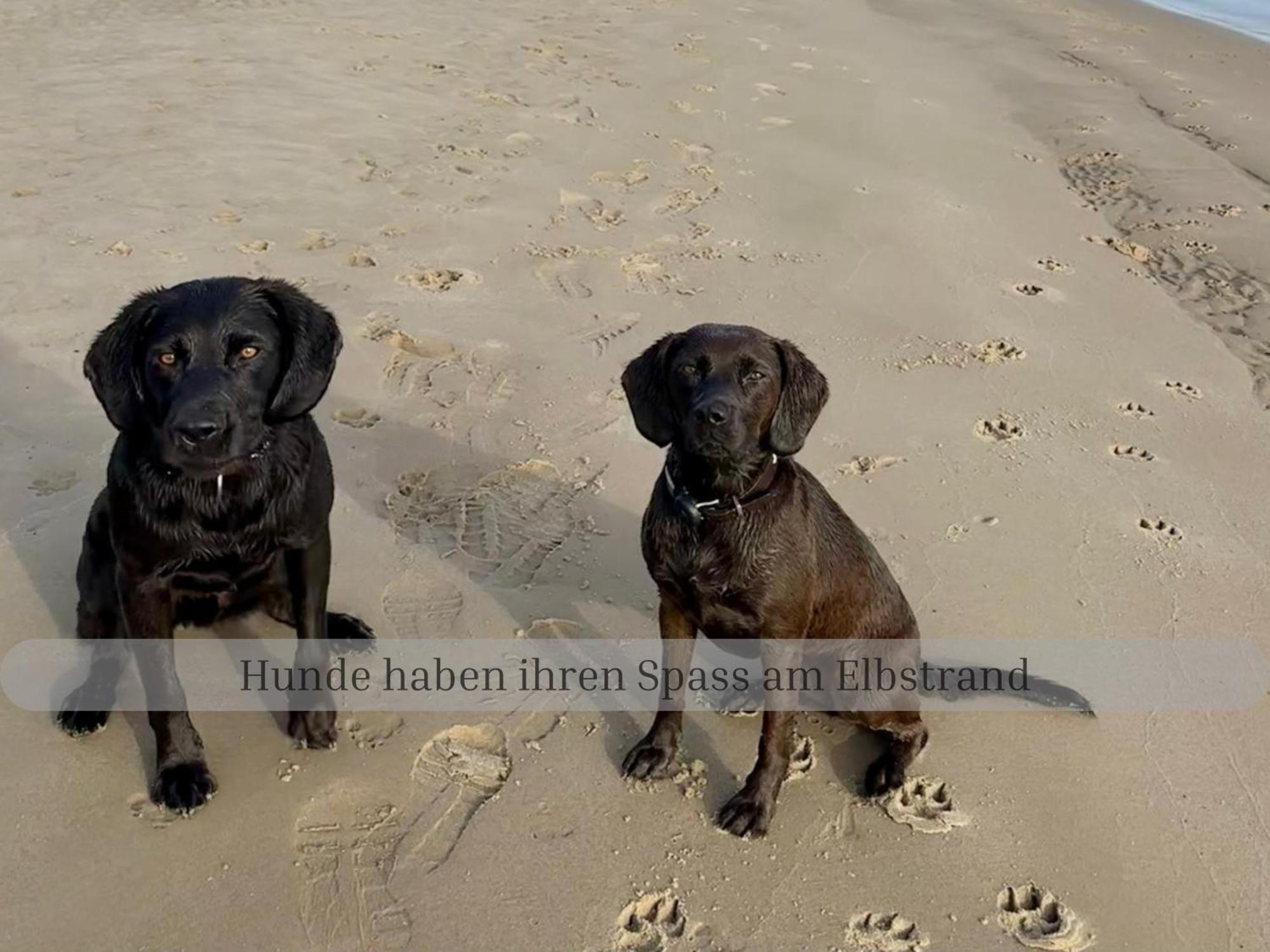 Holiday home Of Africa - Einzigartige Themenzimmer, Eingezaeunten Garten, Sauna, Whirlpool & Kamin, Hunde Willkommen, Gasgrill, Voll Ausgestattete Kueche, Grosser Essbereich, Hamburg & Stade In Der Naehe